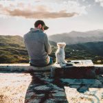 Basic Obedience Commands: 7 Proven Tips to Avoid Costly Mistakes