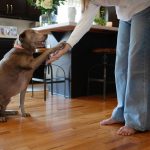 Certification Application Process: 5 Proven Steps to Avoid Painful Mistakes