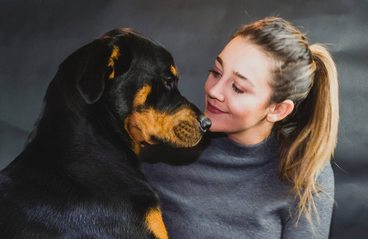Emotional Support Dog Laws illustrated by a person holding ID card and lease document beside a calm golden retriever in a living room setting