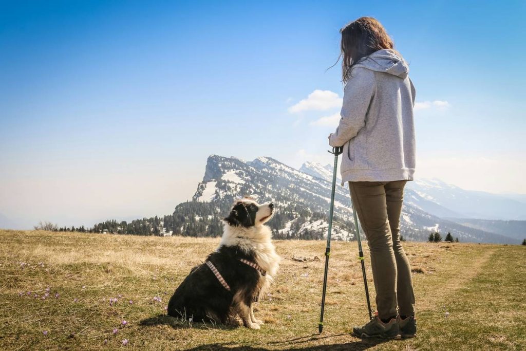 Emotional Support Dog Laws: 7 Proven Rights You Must Know to Avoid Legal Pain