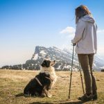 Emotional Support Dog Laws: 7 Proven Rights You Must Know to Avoid Legal Pain