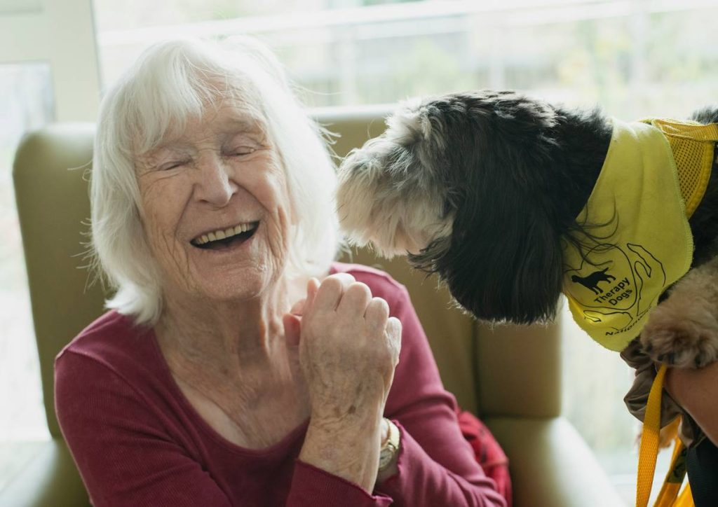 Emotional Support Dog Requirements: 7 Essential Steps to Avoid Costly Mistakes