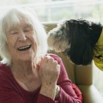 Emotional Support Dog Requirements: 7 Essential Steps to Avoid Costly Mistakes
