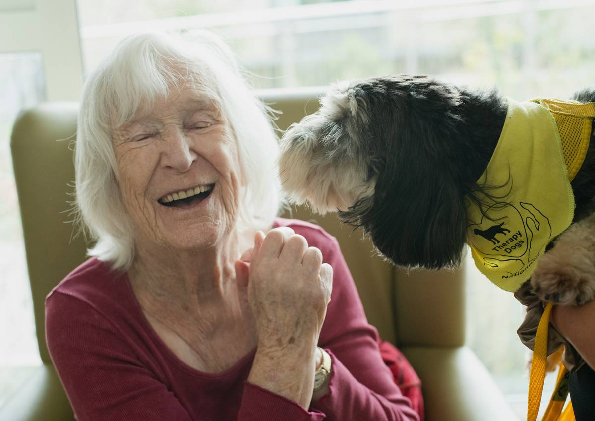 Emotional Support Dog Requirements: 7 Essential Steps to Avoid Costly Mistakes